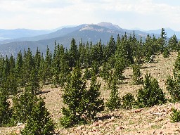 Baldy from Mt Phillips